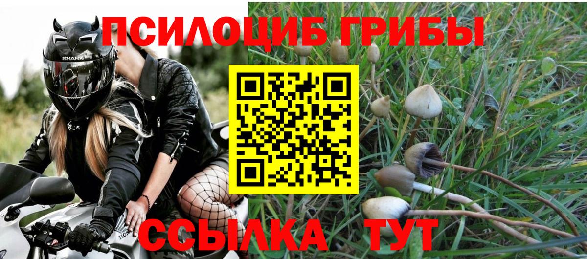 Ноябрьск  Каннабис  ЭКСТАЗИ  Метадон  Меф   ГАШИШ  Вход с VPN  Кокаин 