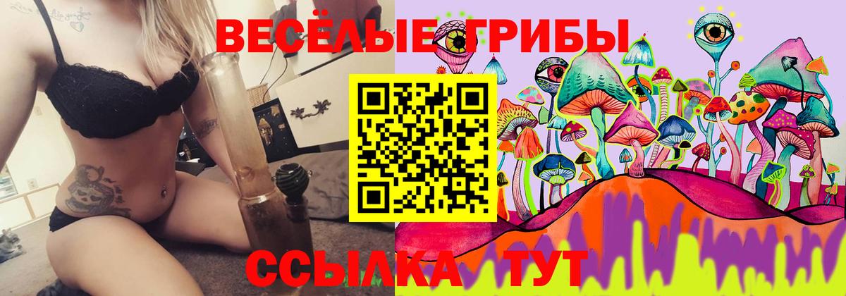Галлюциногенные грибы Psilocybe Ноябрьск
