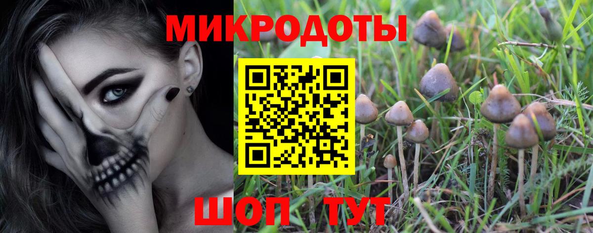 Псилоцибиновые грибы Magic Shrooms  Галлюциногенные грибы Psilocybe  Вход с VPN  как найти наркотики  Ноябрьск 